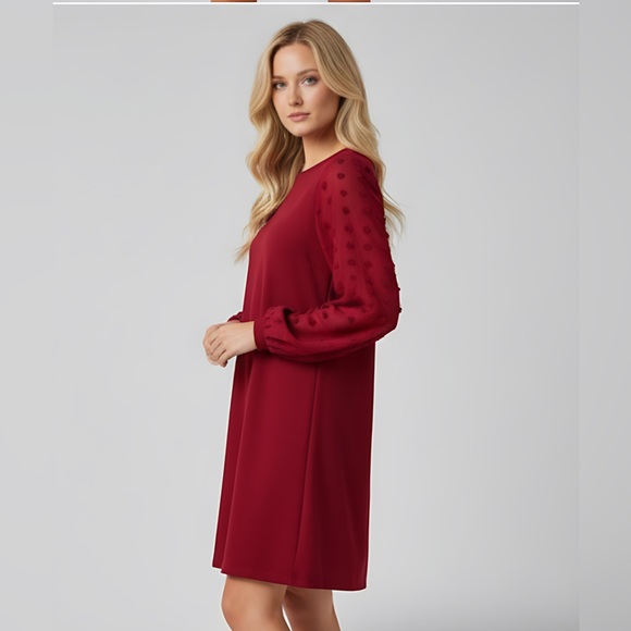 Red Swiss Dot Sheer Sleeve Dress - Picture 3 of 9